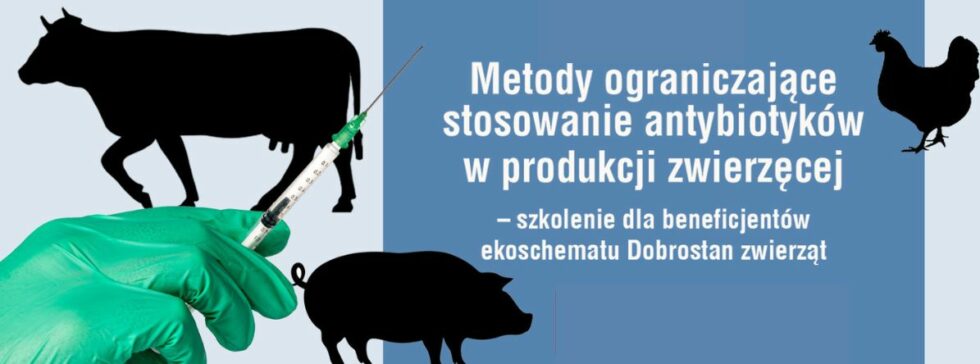 Szkolenie rolnicy antybiotyki